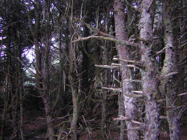 DSCN0198.jpg
