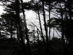 DSCN0199.jpg