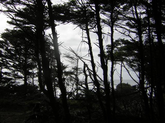 DSCN0199.jpg