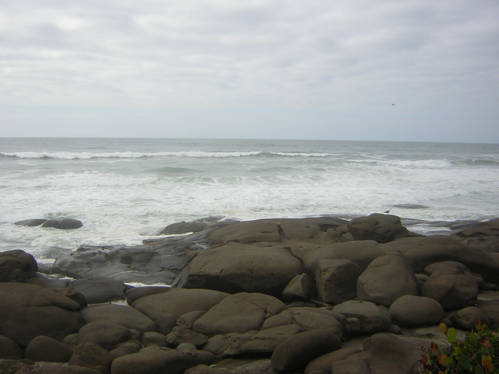 DSCN0202.jpg