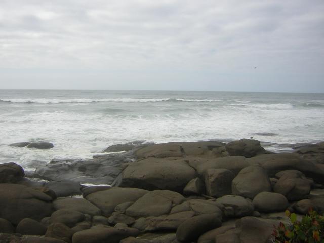 DSCN0202.jpg
