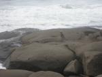 DSCN0203.jpg