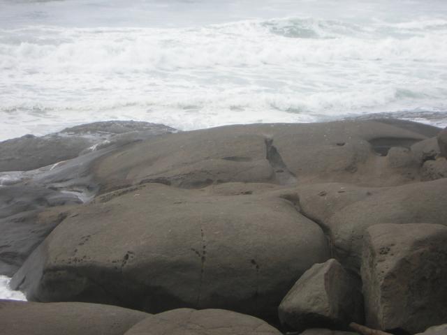 DSCN0203.jpg