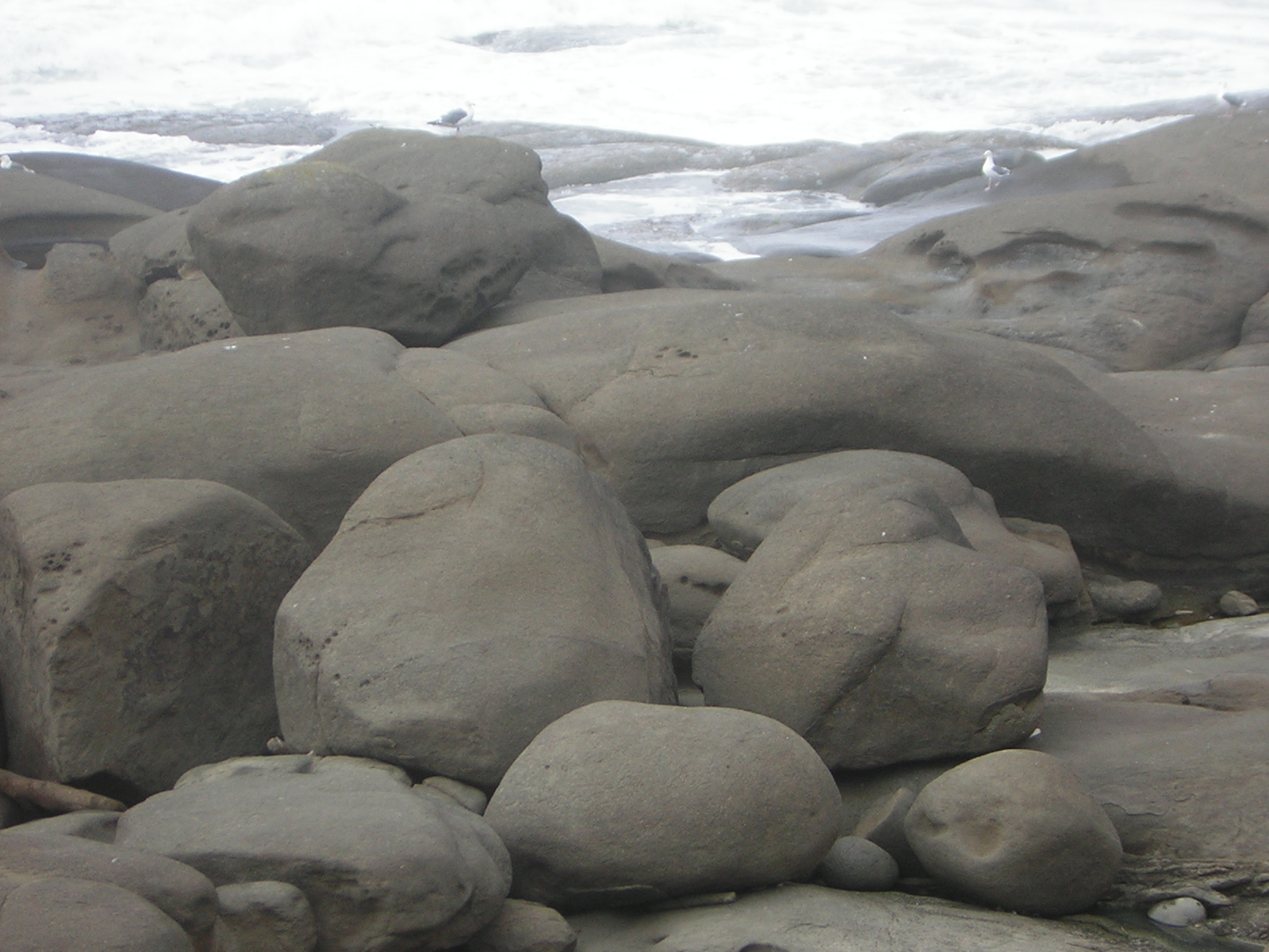 DSCN0204.jpg