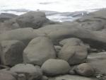 DSCN0204.jpg