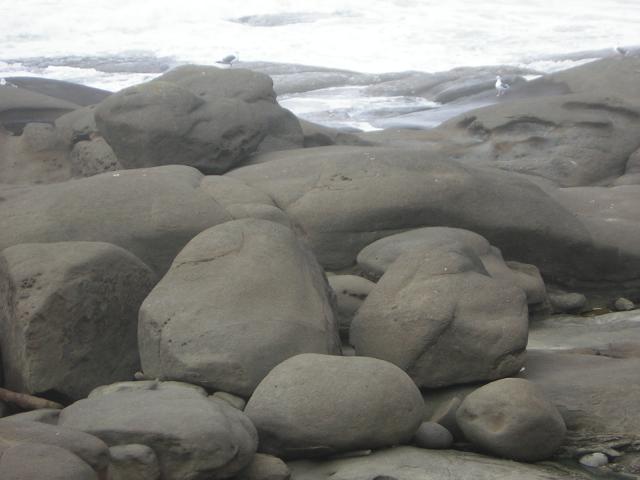 DSCN0204.jpg