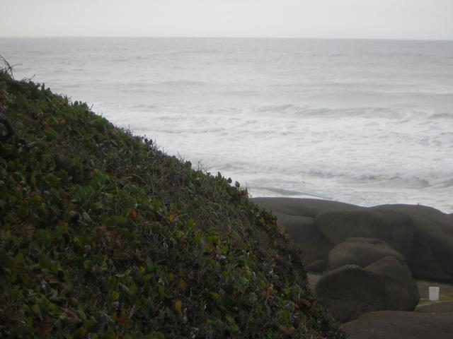 DSCN0205.jpg