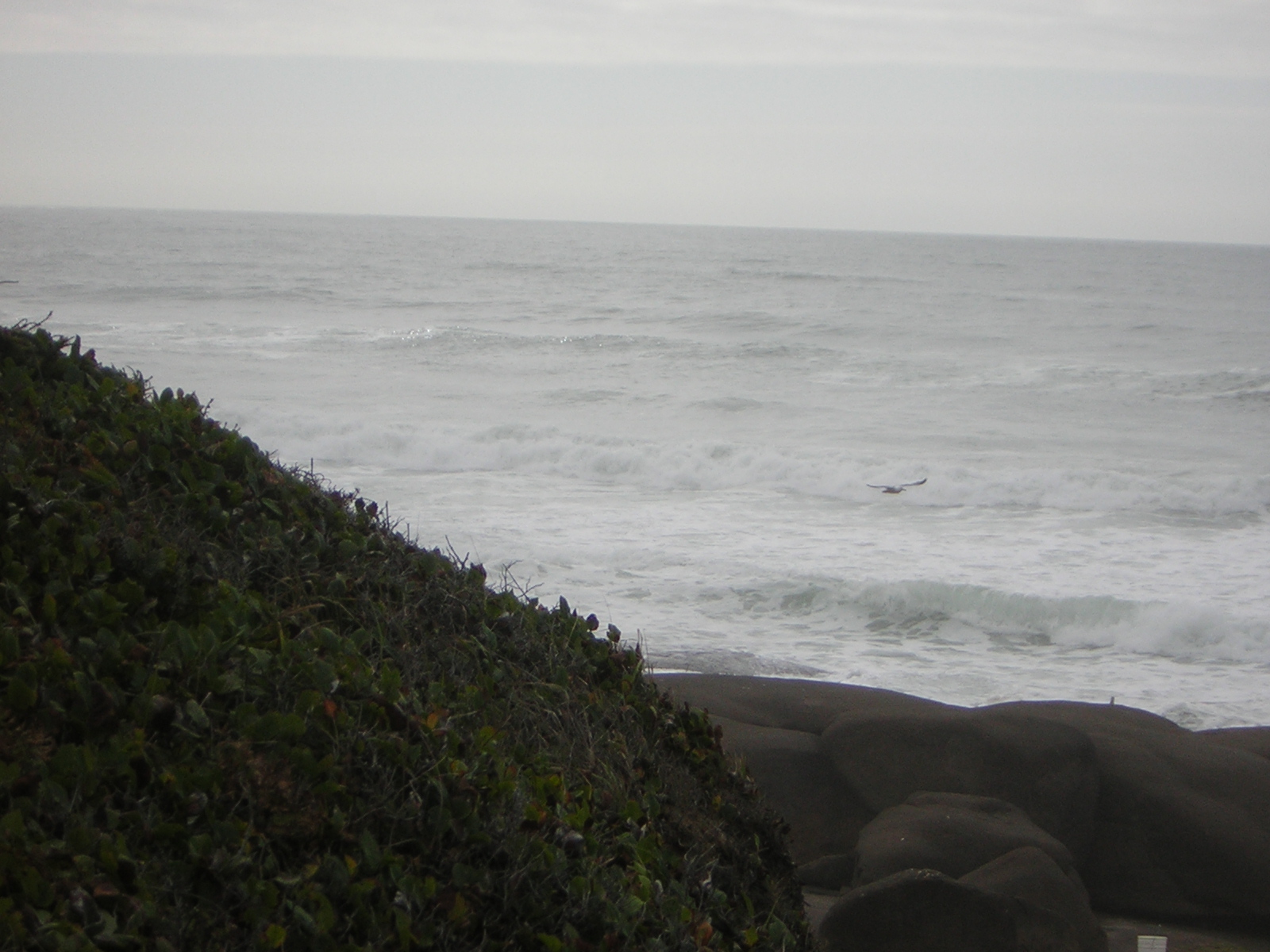DSCN0206.jpg