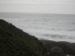 DSCN0206.jpg