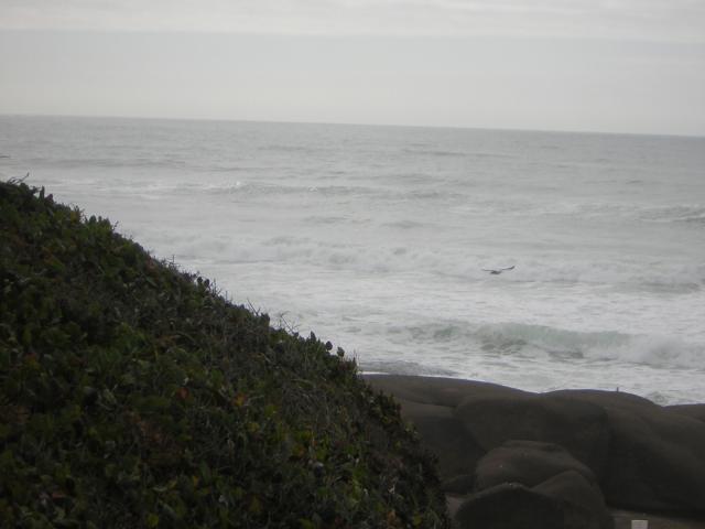 DSCN0206.jpg
