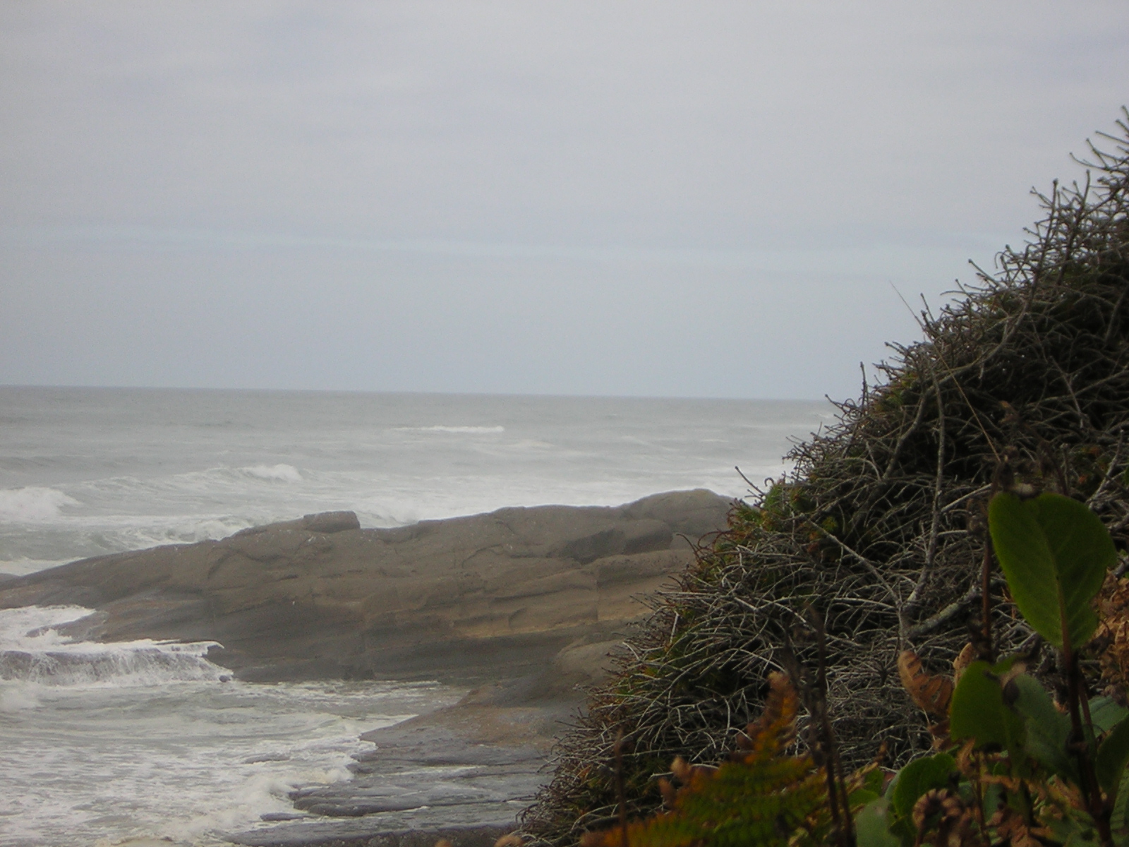 DSCN0207.jpg
