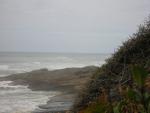 DSCN0207.jpg