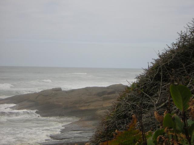 DSCN0207.jpg