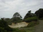 DSCN0208.jpg