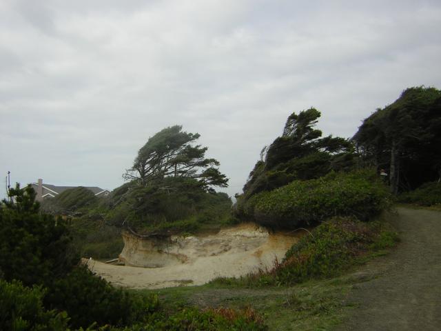 DSCN0208.jpg