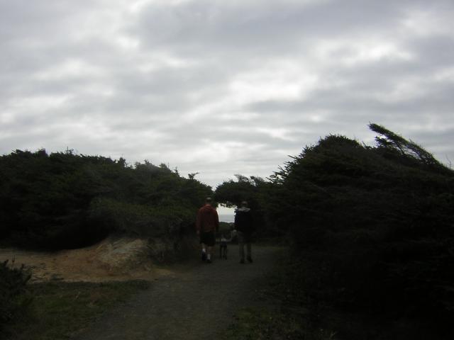 DSCN0209.jpg