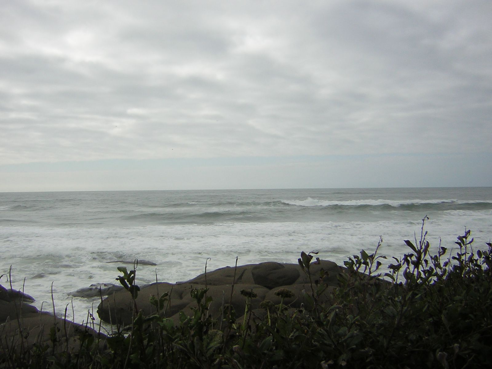 DSCN0212.jpg