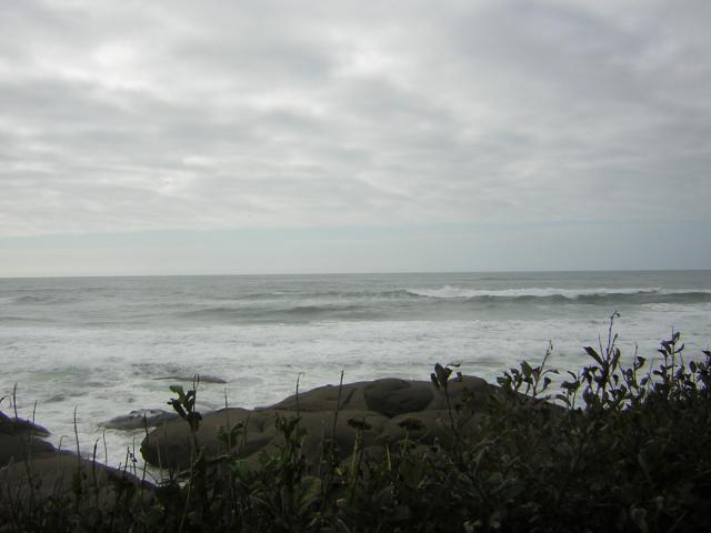 DSCN0212.jpg