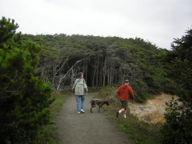 DSCN0213.jpg