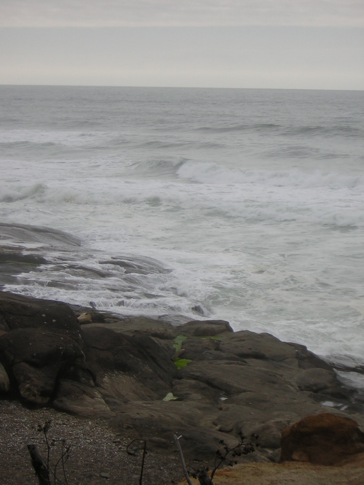 DSCN0214.jpg