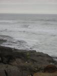 DSCN0214.jpg