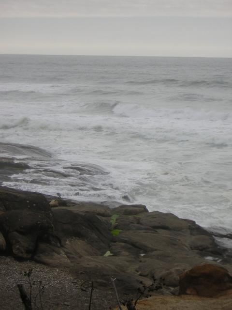DSCN0214.jpg