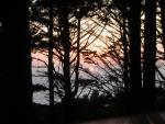 DSCN0217.jpg