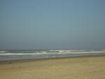 DSCN0219.jpg