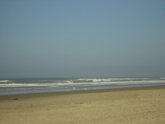 DSCN0219.jpg