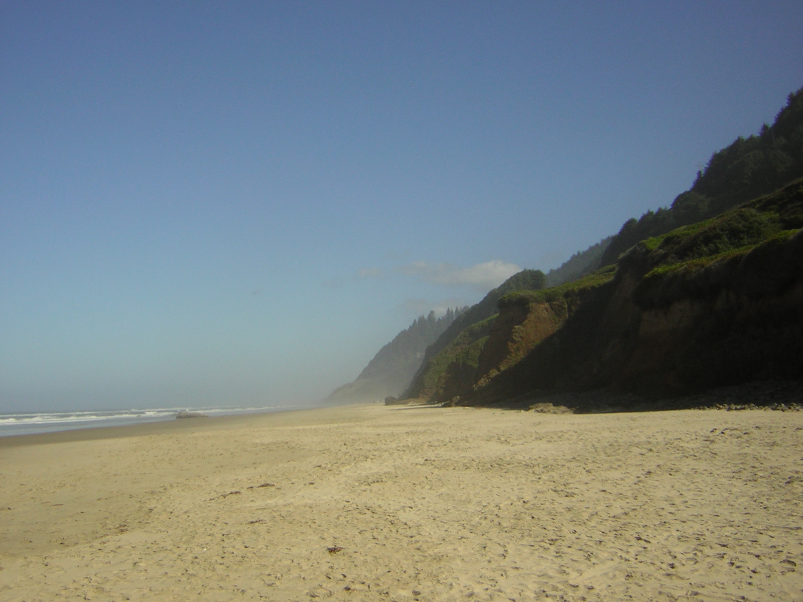 DSCN0221.jpg