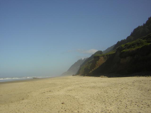 DSCN0221.jpg