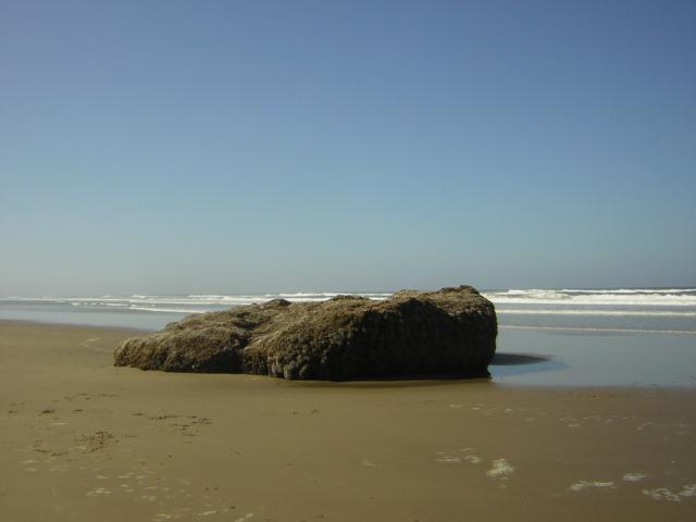DSCN0225.jpg