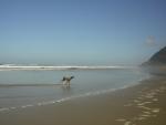 DSCN0227.jpg