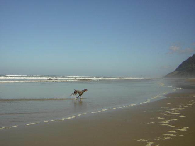 DSCN0227.jpg