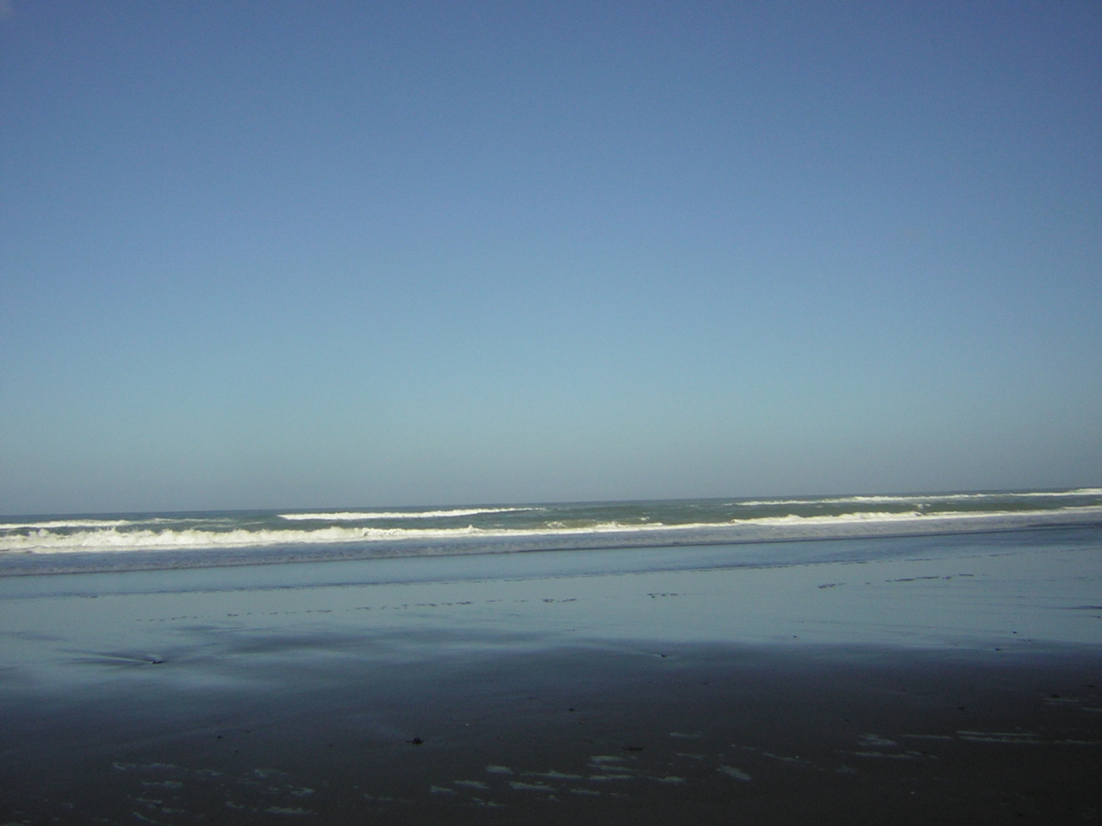 DSCN0229.jpg