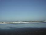 DSCN0229.jpg