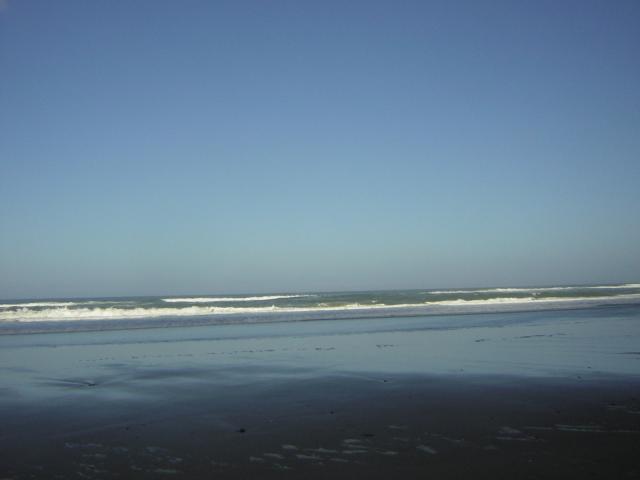 DSCN0229.jpg
