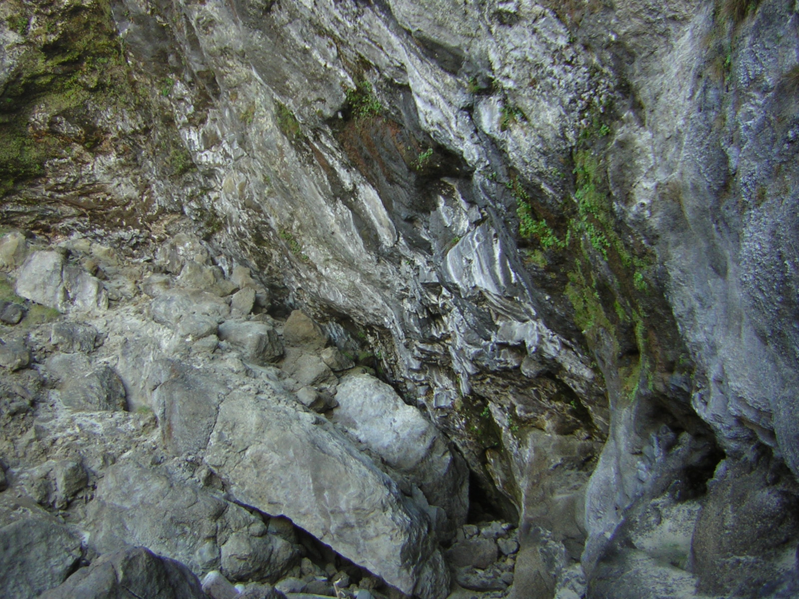 DSCN0230.jpg