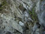 DSCN0230.jpg
