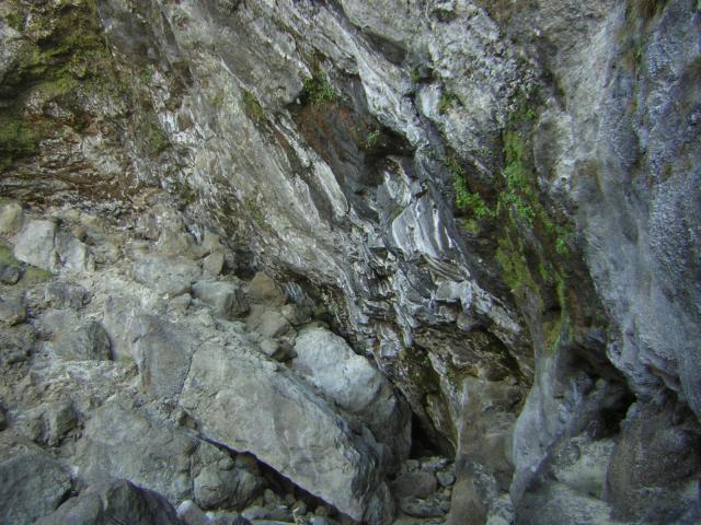 DSCN0230.jpg