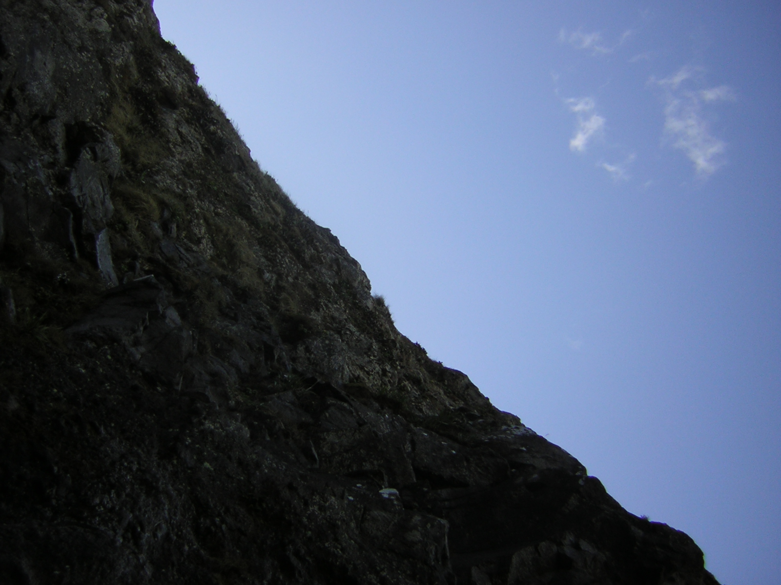 DSCN0231.jpg