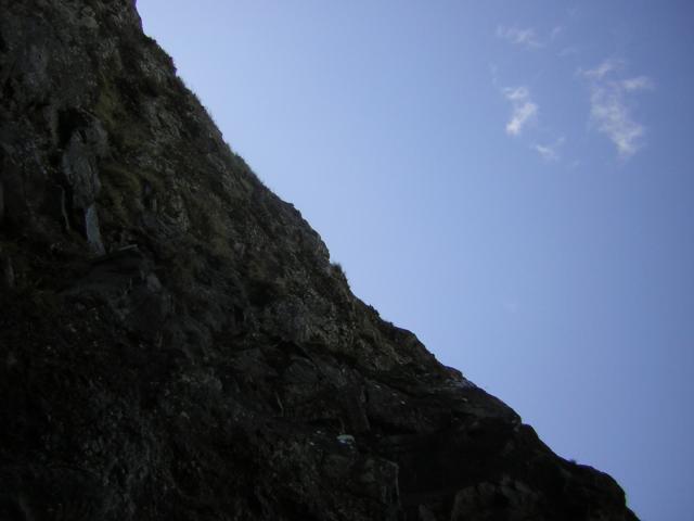 DSCN0231.jpg