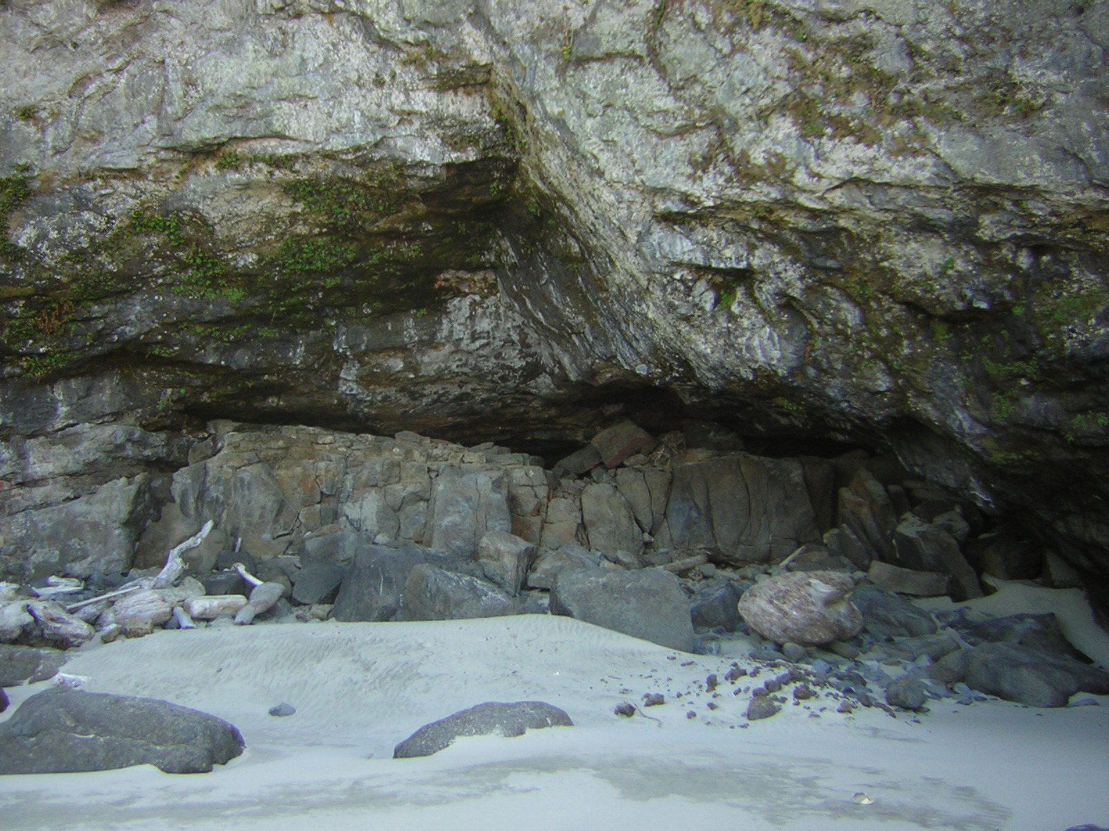 DSCN0232.jpg