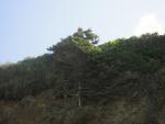 DSCN0233.jpg