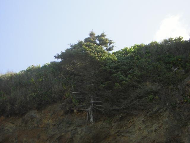DSCN0233.jpg