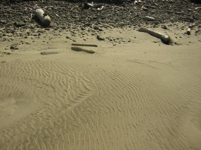 DSCN0236.jpg