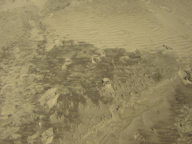 DSCN0237.jpg