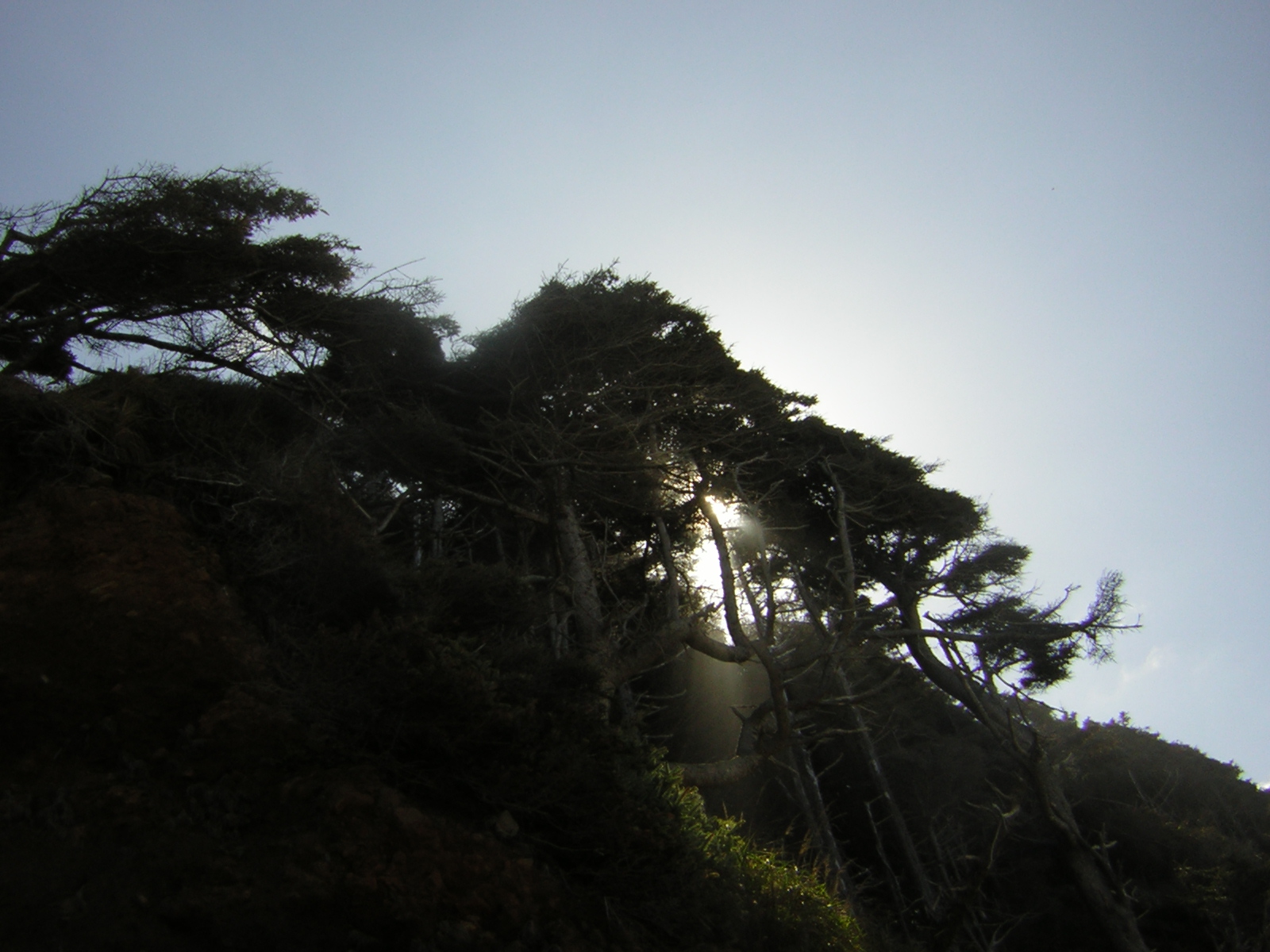 DSCN0243.jpg