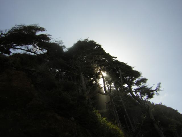 DSCN0243.jpg