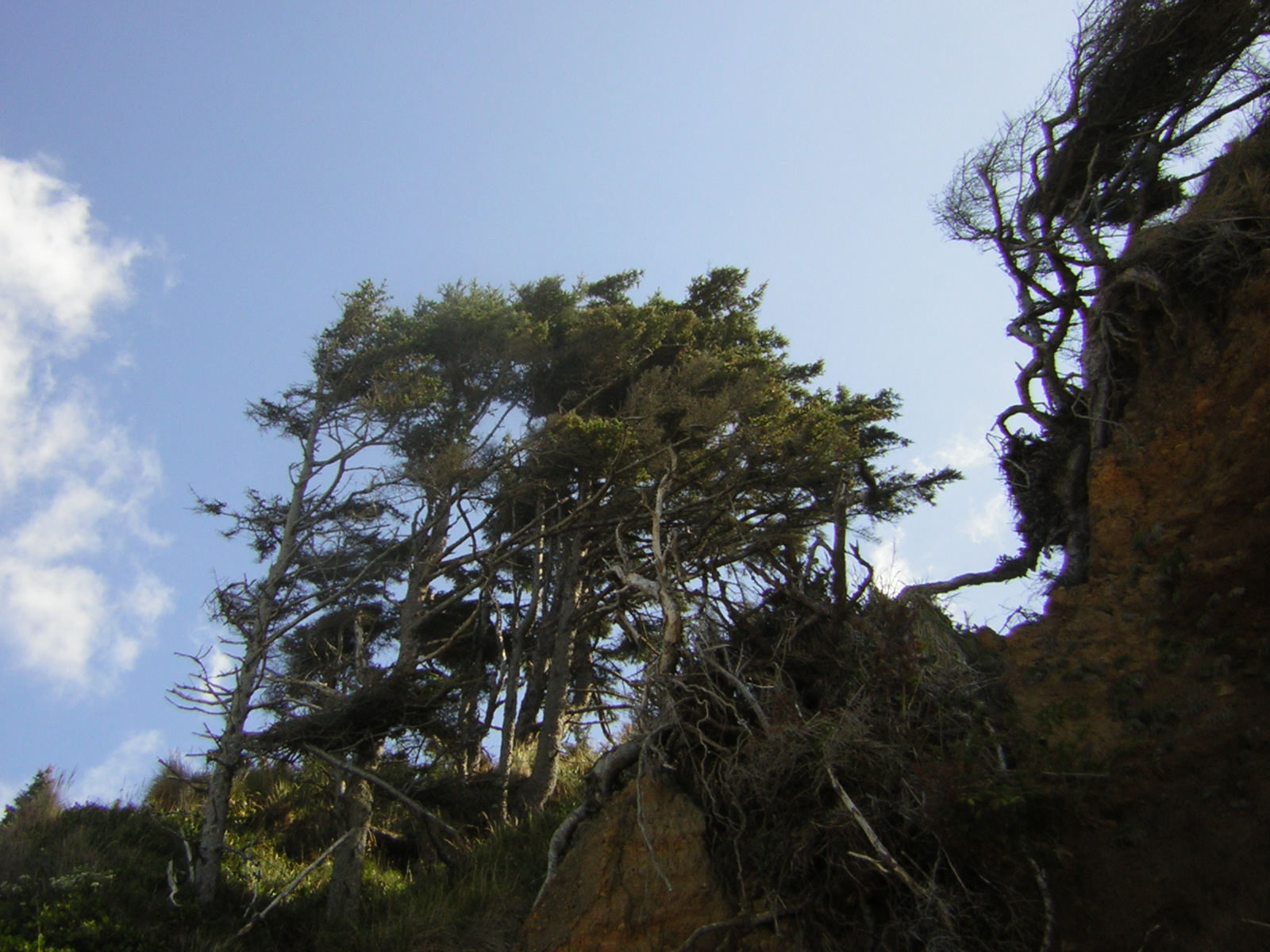 DSCN0244.jpg